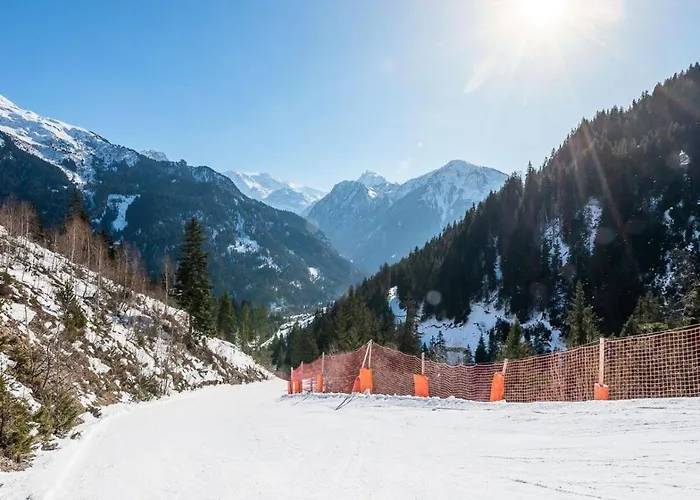 Résidence Le Roselin - 4 Pièces Pour 8 Personnes 193296 Appartement